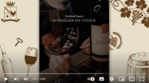 vídeo no youtube complementando o conteúdo sobre degustação de vinhos em casa